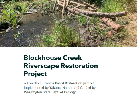 Blockhouse Creek Riverscape Restoration Project
