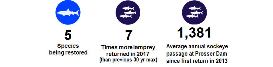 Yakima Subbasin fish infographics