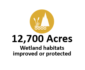 Wetland habitat improved, treated, or protected